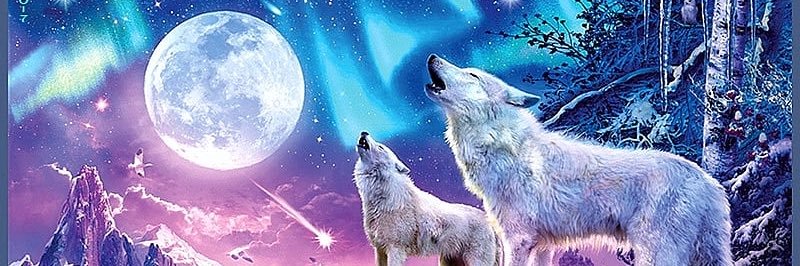 Faded_Native's profile banner image