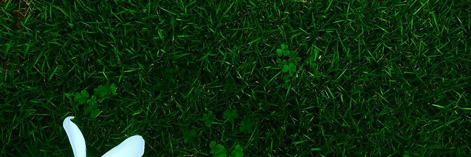 shintaooh's profile banner image