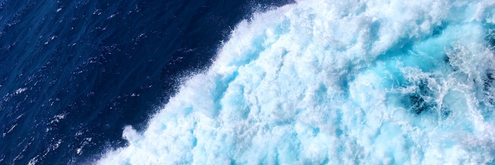 Software Niagara banner