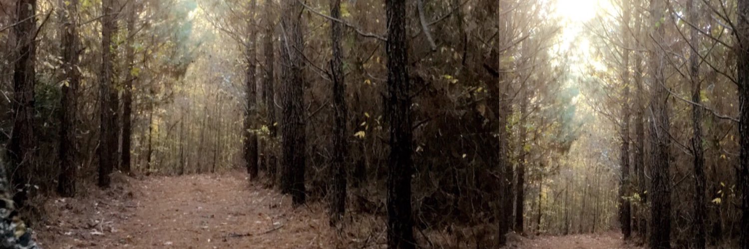EmilySouthh's profile banner image