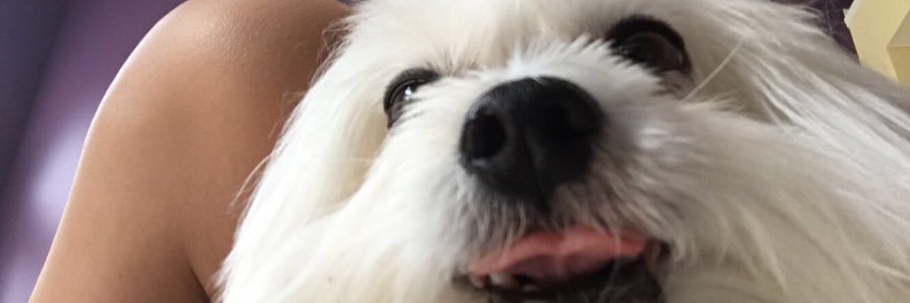 zoerivet's profile banner image