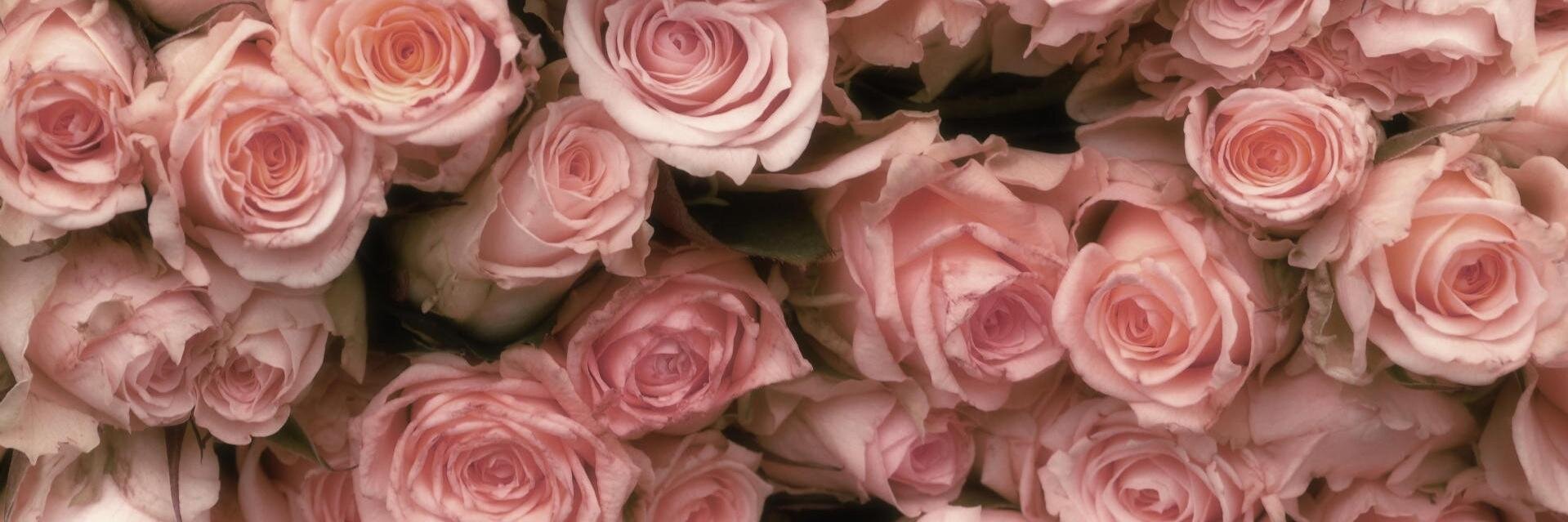 niayusmay's profile banner image