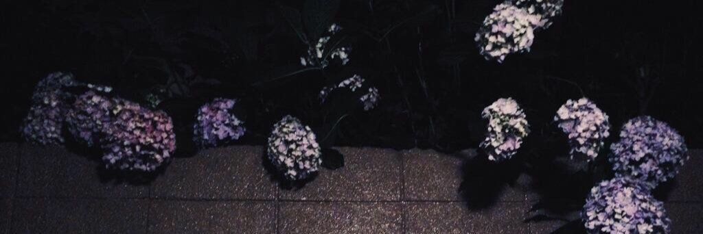 vdt_tt's profile banner image