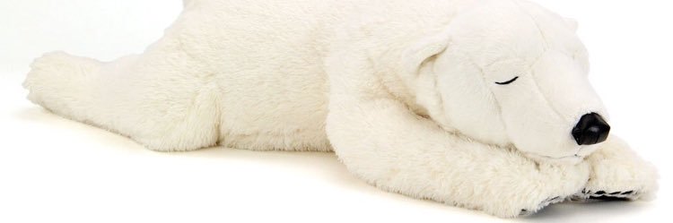 tonchan1030's profile banner image