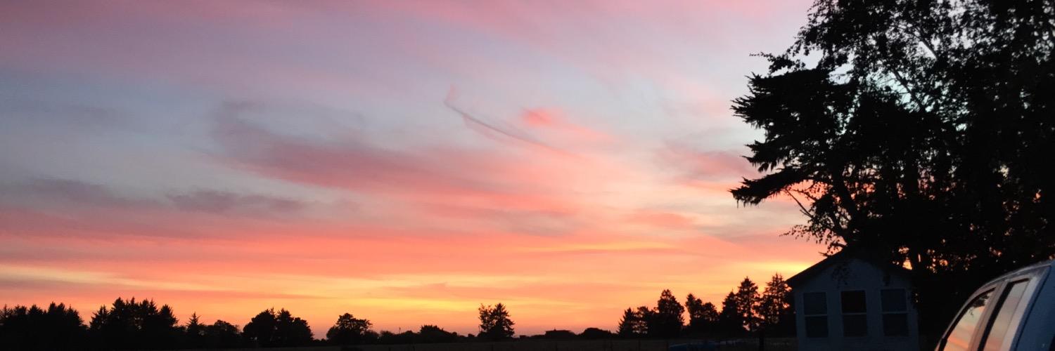 TopCat_Tyler's profile banner image