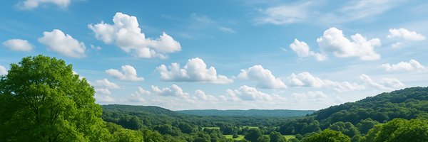 yharuna Profile Banner