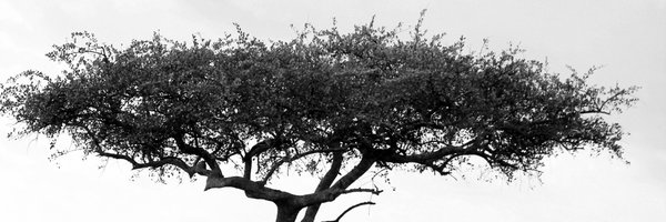 mahima_sud Profile Banner
