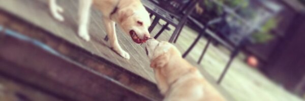 BSimmonds_ Profile Banner