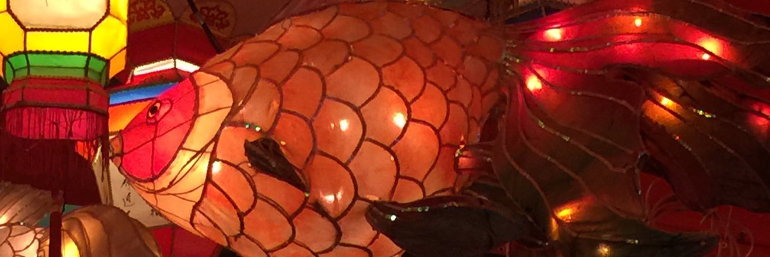 0217Jun1's profile banner image