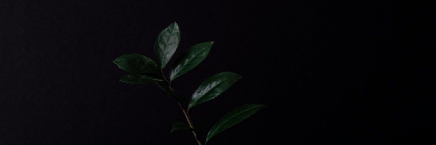 Muhammed Saber banner