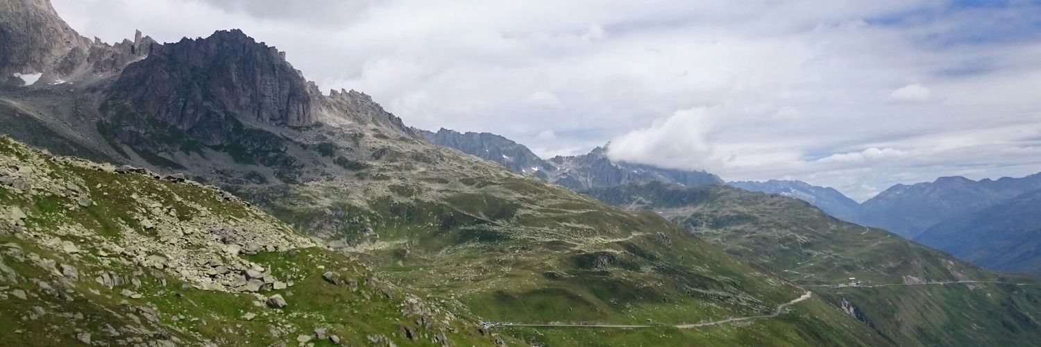 Pippa Gillingham banner