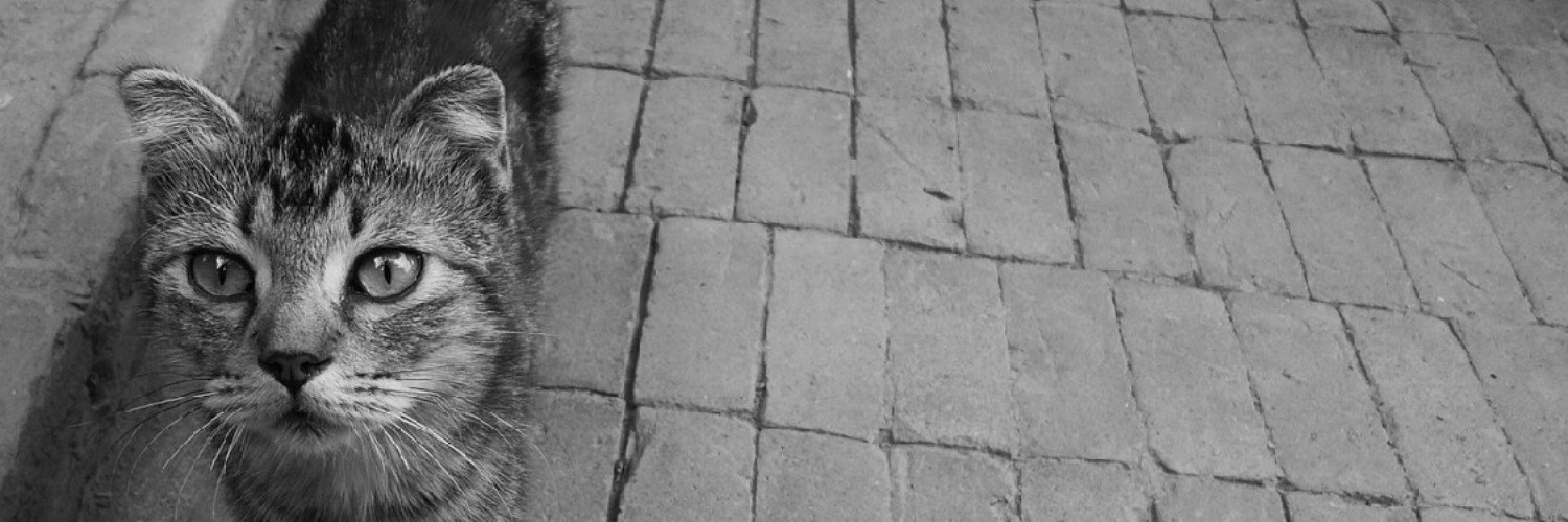 sisimaru_i's profile banner image
