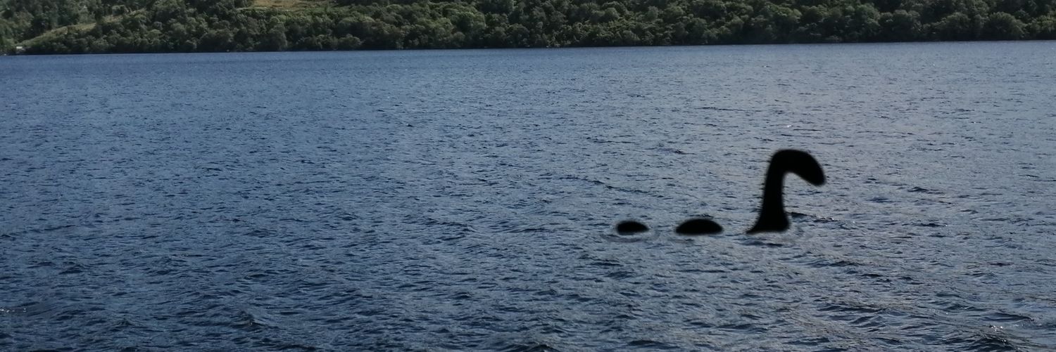 #ThinBlueLine #PoliceLivesMatter banner