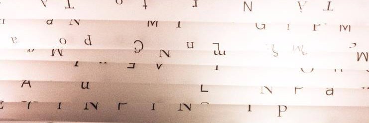 Núria Ferran banner