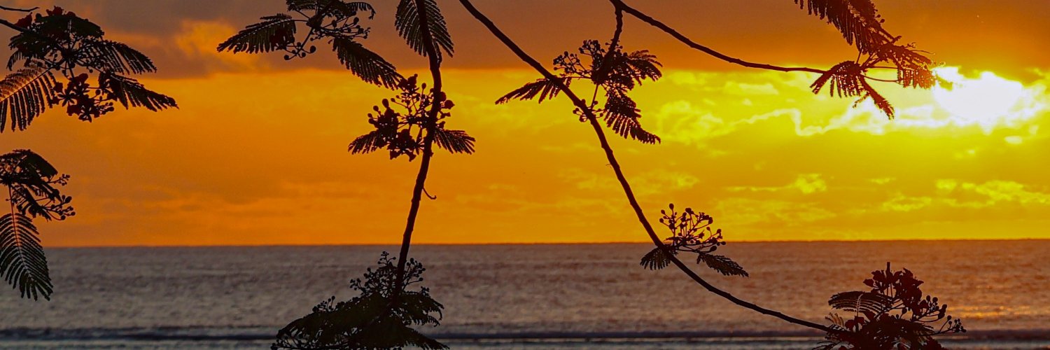 nativa_m's profile banner image