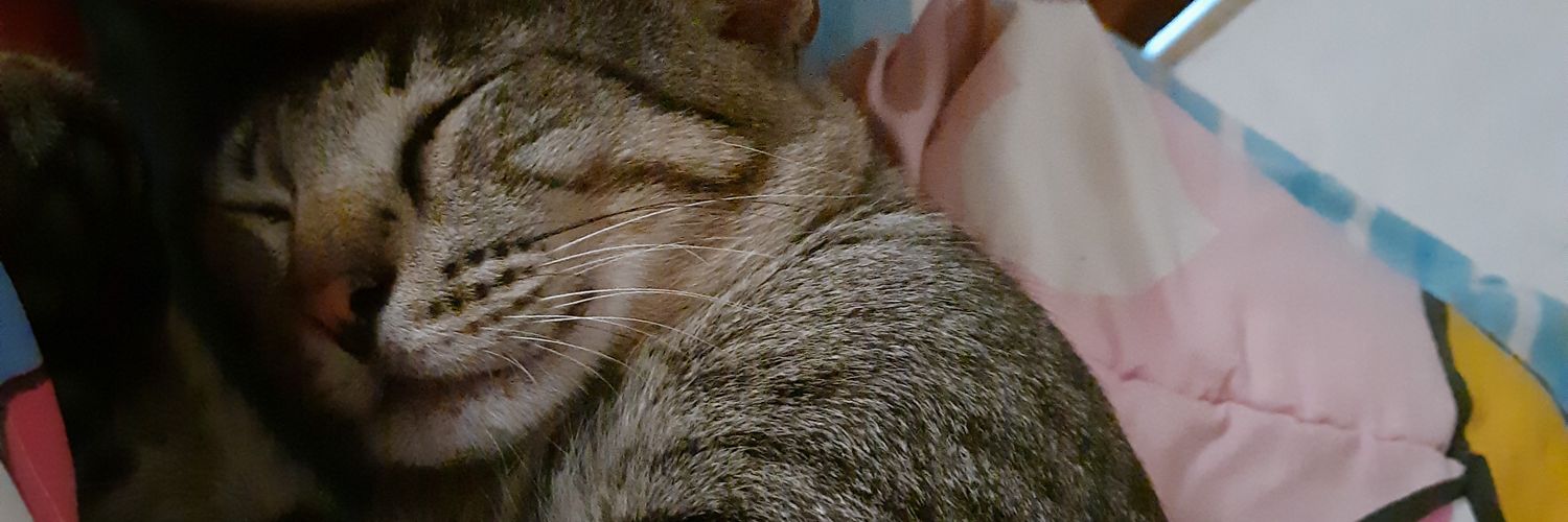sucimay's profile banner image