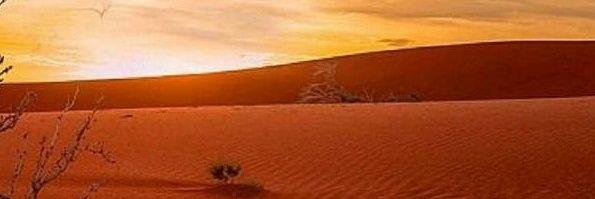 Mfsd729Mohamd's profile banner image