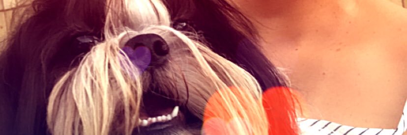 Lucibaby5's profile banner image