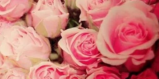 thaa_tuit's profile banner image