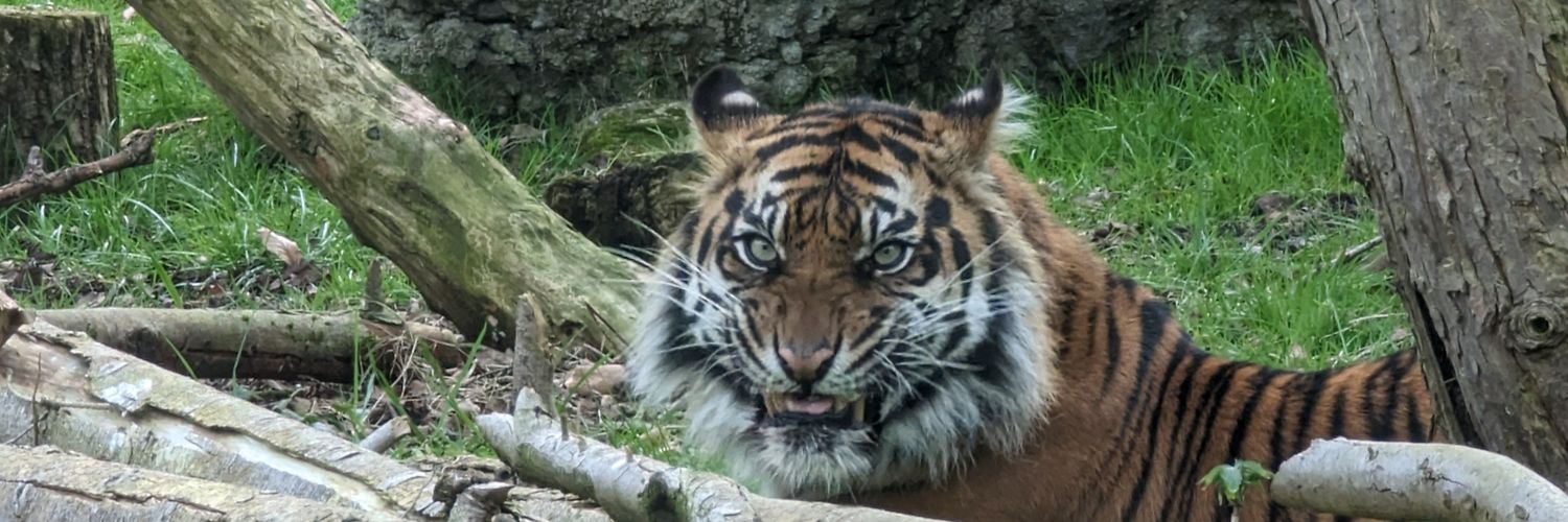 WildingGary's profile banner image