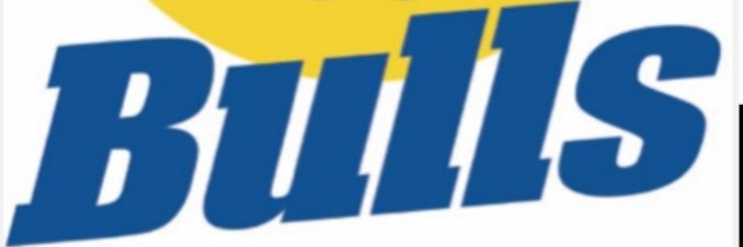 Noble Park FC banner