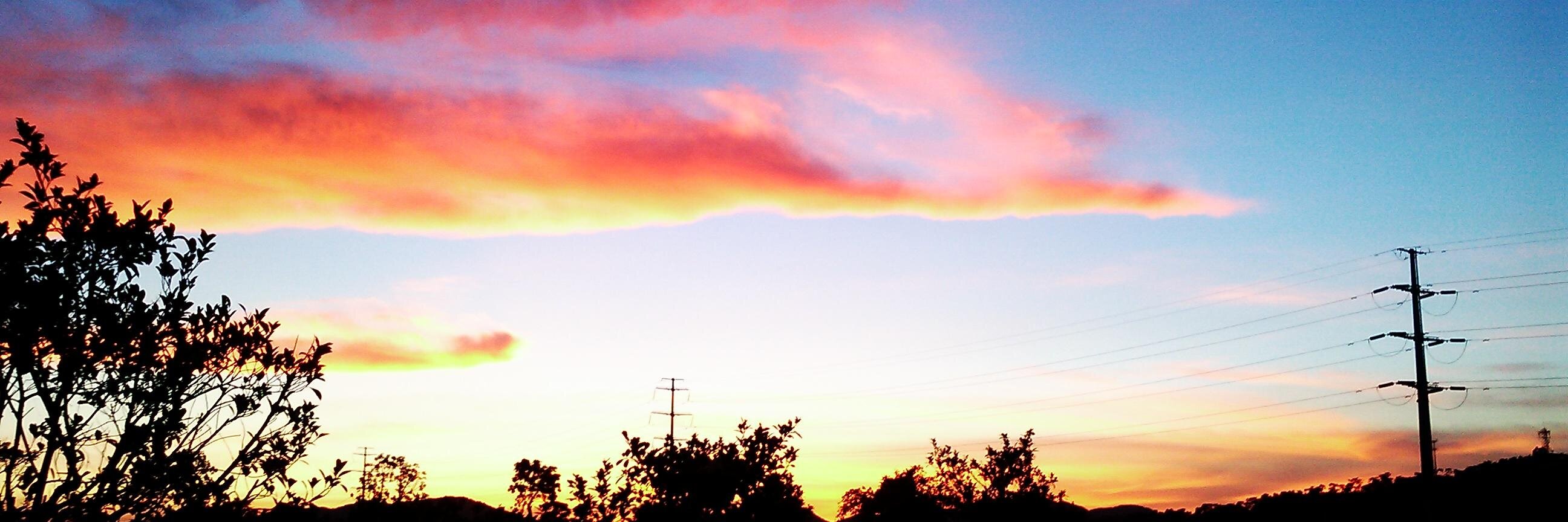 windsorlala's profile banner image