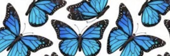 _EbonySade_'s profile banner image