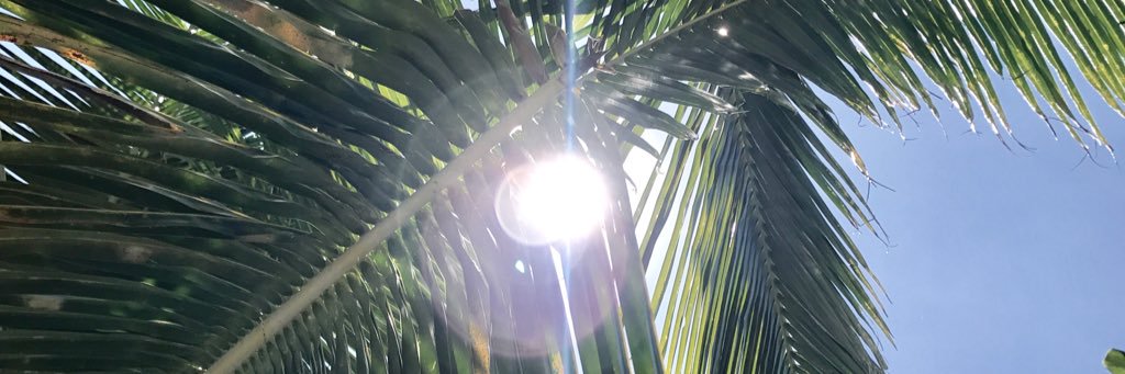 chaaama723's profile banner image