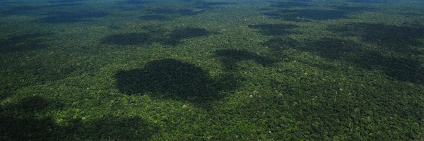 Climateforest Profile Banner