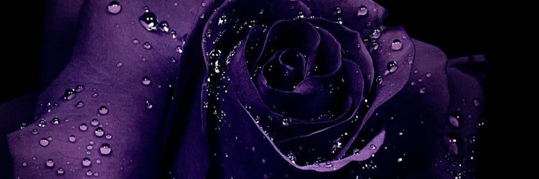 PurpleReign92's profile banner image