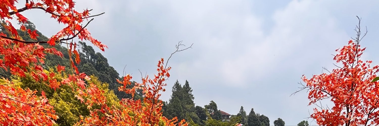 druscillees's profile banner image