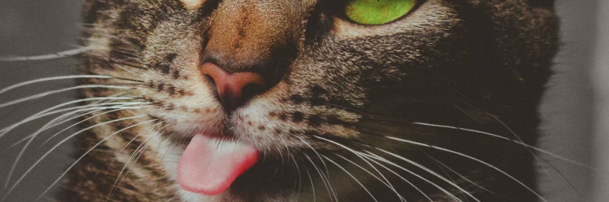 Official_RA27's profile banner image