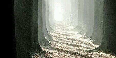 Bendix Villarosa banner