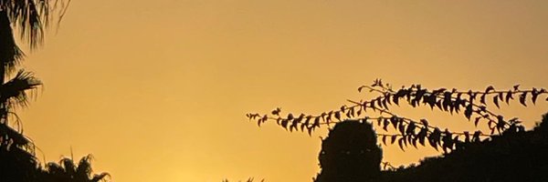suewilkinson13 Profile Banner
