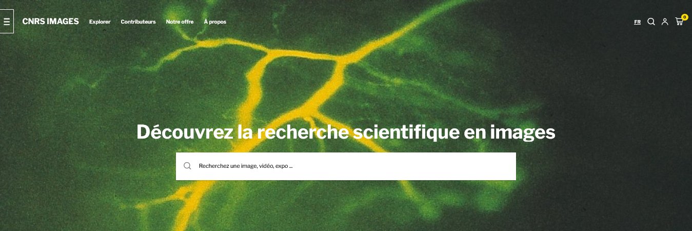 CNRS Images banner