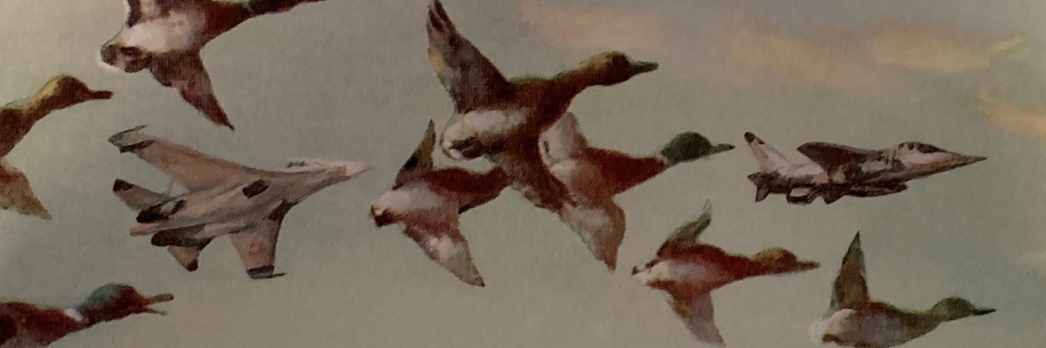 Embrace Frustration banner