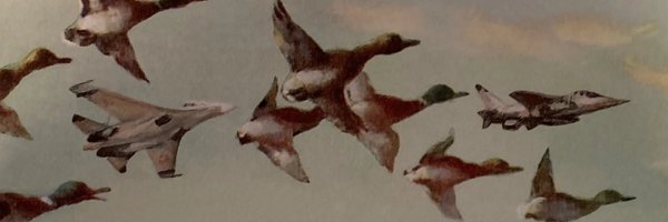 eo Profile Banner