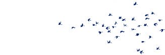 saeed_kn's profile banner image
