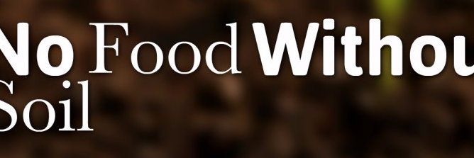 mbondofm's profile banner image