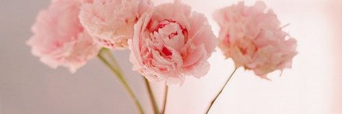 flowersbride's profile banner image