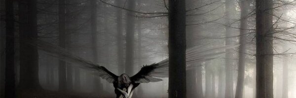 oshow09 Profile Banner