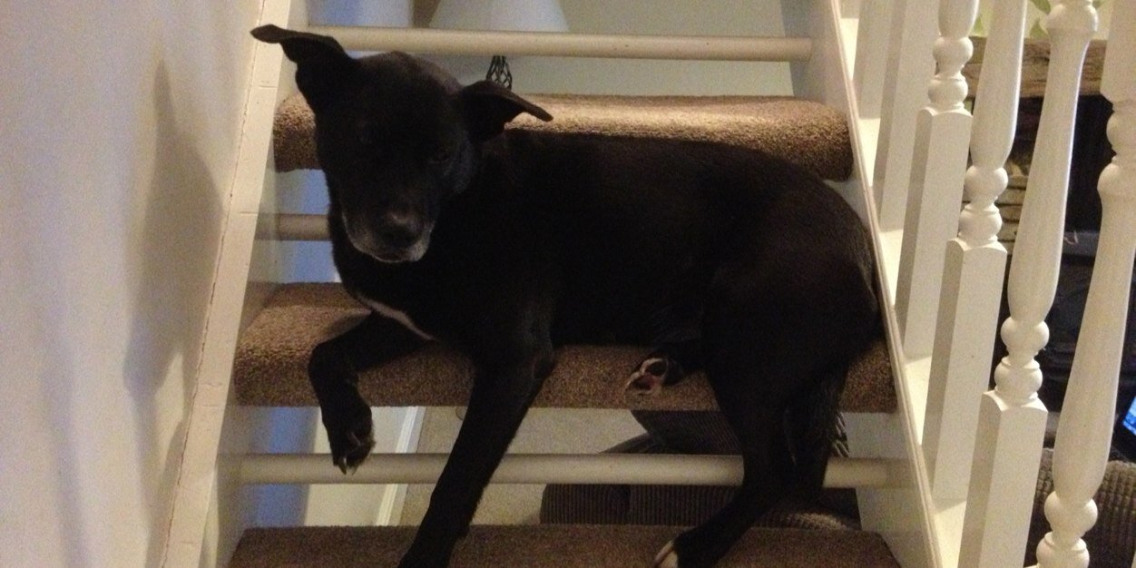 Stuart Crabtree banner