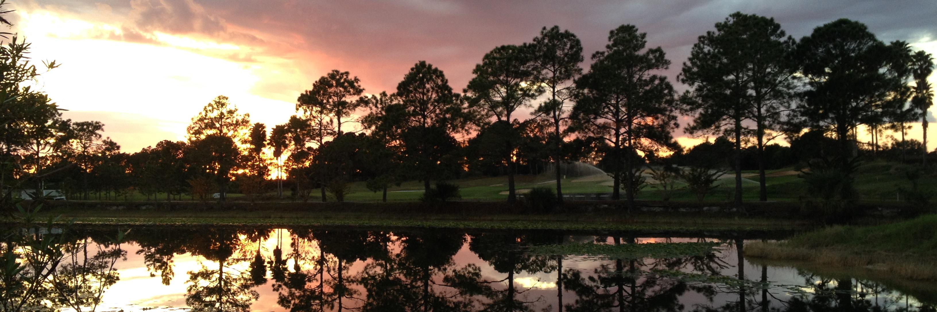 StephBurridge's profile banner image