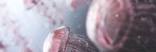 Pollyntm's profile banner image
