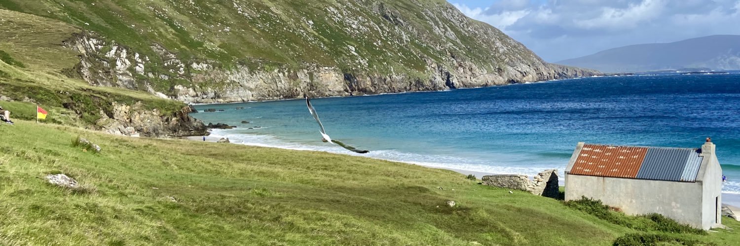 Salvatore Scollo banner