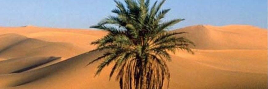 mazm37's profile banner image