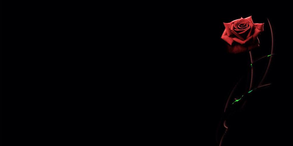 ssyahiraaa's profile banner image