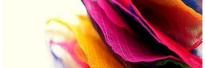 elaiyn's profile banner image