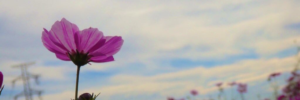 nm_oneokrock's profile banner image