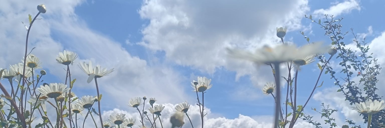 rityusha's profile banner image